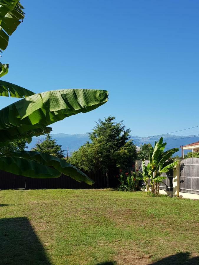 Solnechny Bereg Guest House Gudauta Exterior photo